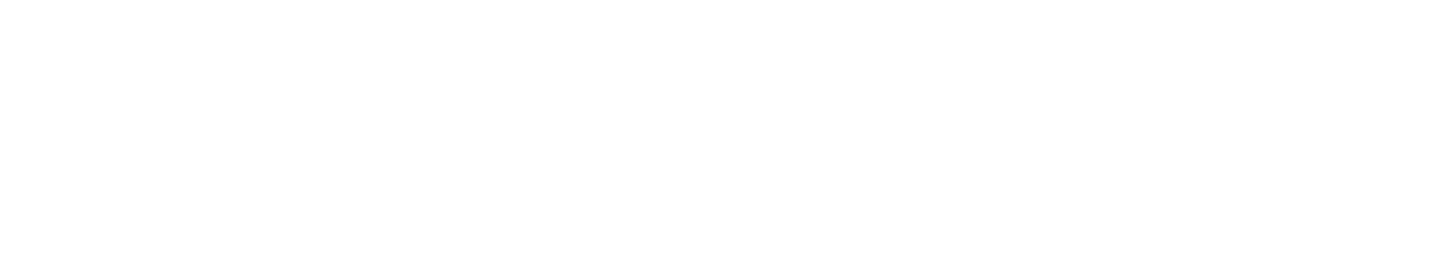 Felite Performance